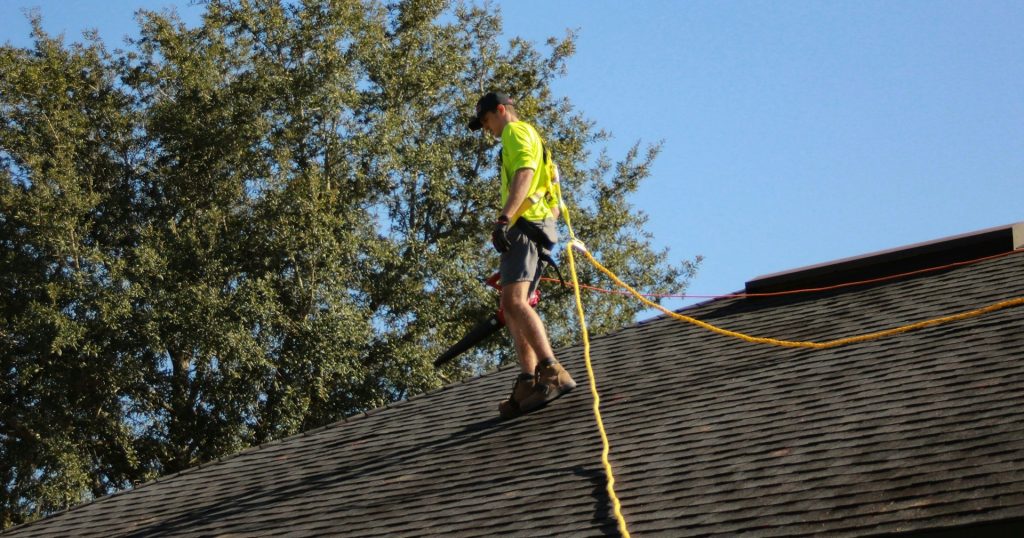 Can Roof Repair Attract Termites or Rodents
