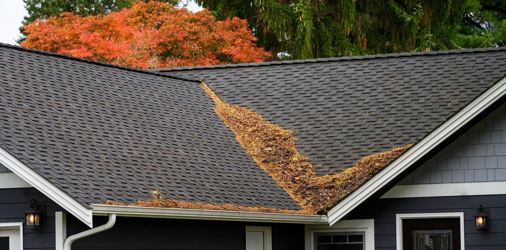 What Makes a Roofer ‘Trustworthy’ in Golden Beach, MD?