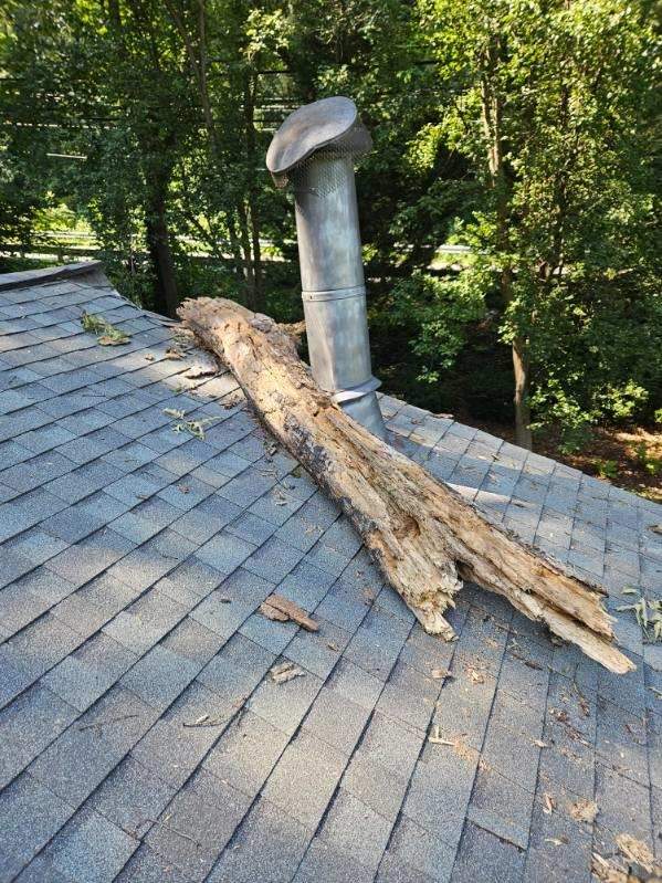 Broken branch lying across a shingle roof after a storm